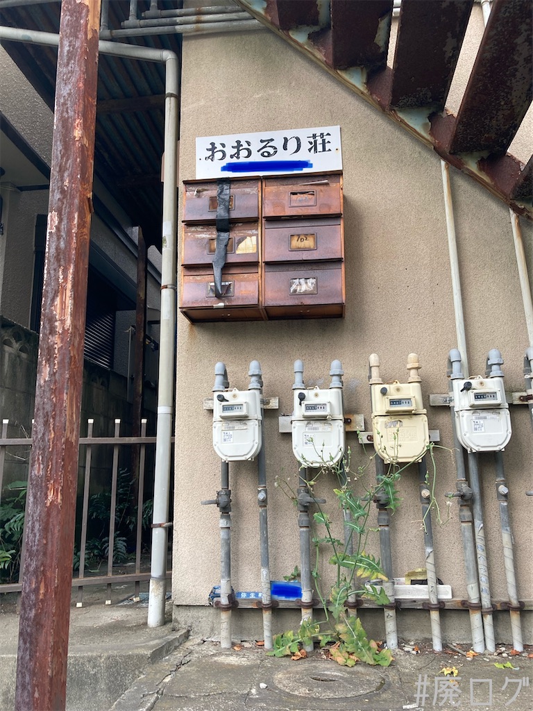 f:id:hiyapa:20230619212103j:image