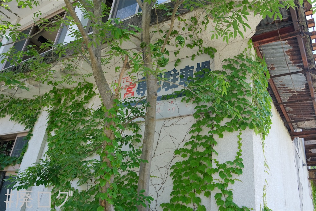 f:id:hiyapa:20230628211010j:image