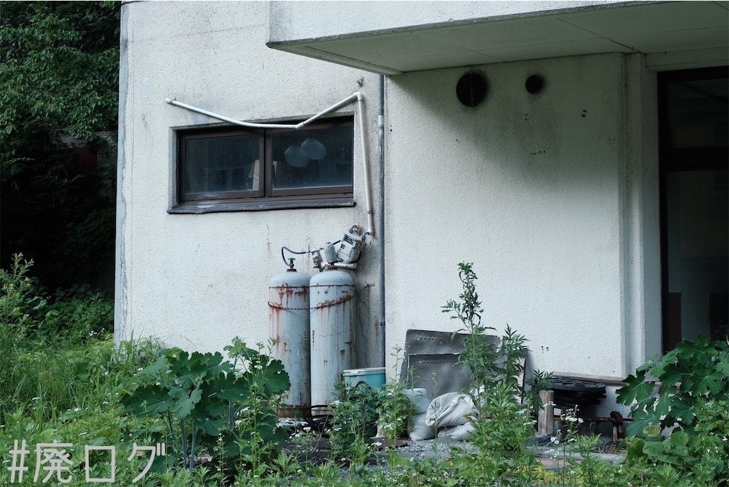 f:id:hiyapa:20230712225517j:image