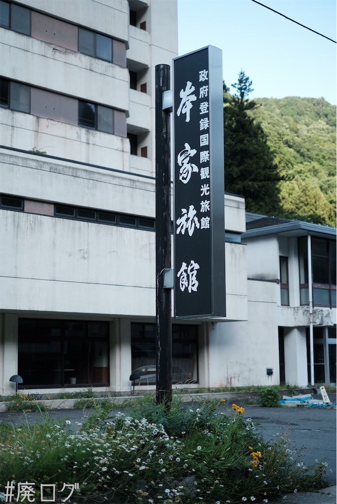 f:id:hiyapa:20230712225542j:image