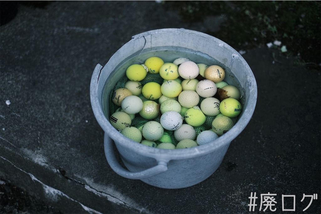 f:id:hiyapa:20230712225603j:image