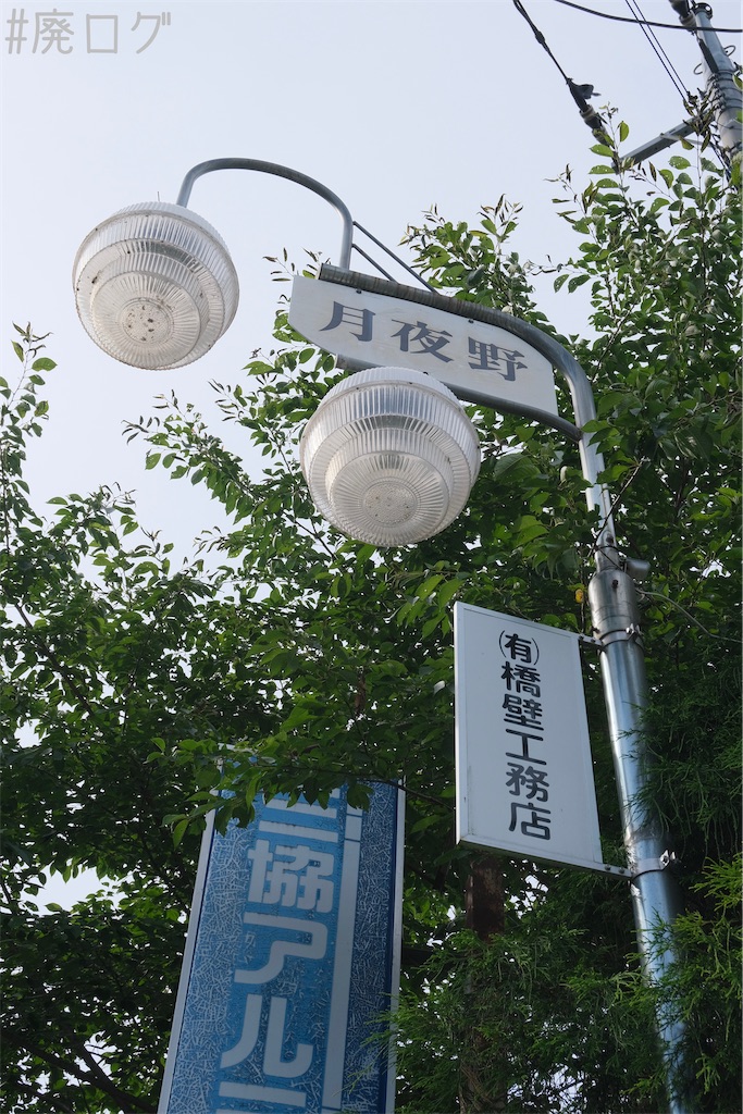 f:id:hiyapa:20230717210507j:image f:id:hiyapa:20230717210507j:image