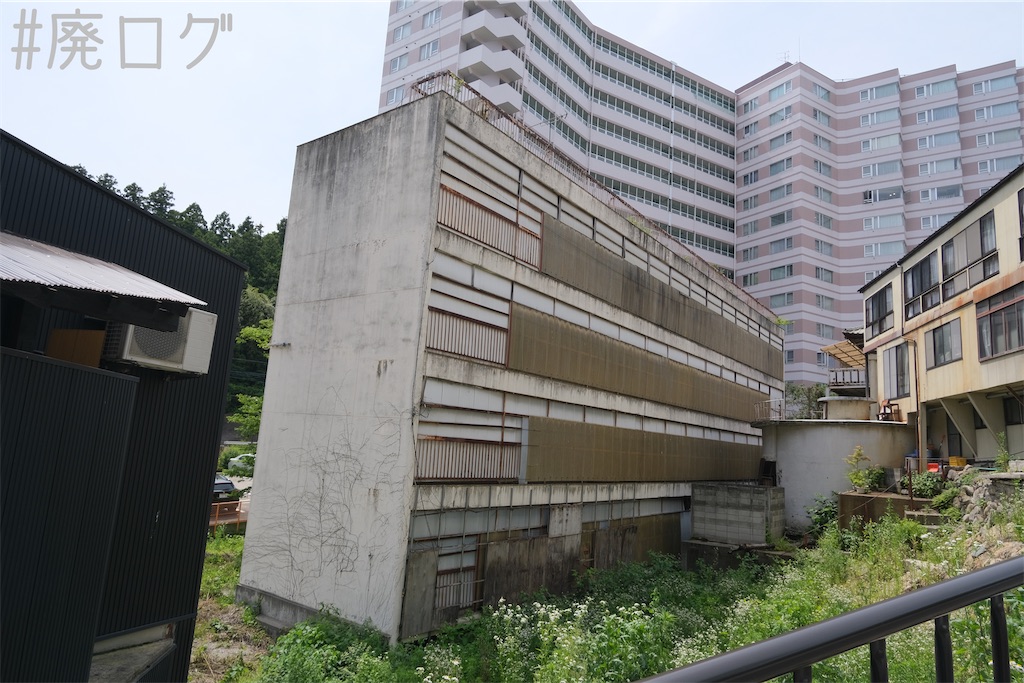 f:id:hiyapa:20230717210645j:image f:id:hiyapa:20230717210645j:image