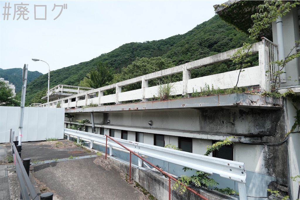 f:id:hiyapa:20230717210653j:image f:id:hiyapa:20230717210653j:image