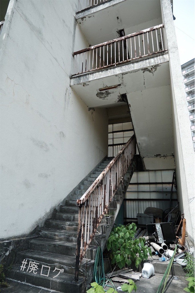 f:id:hiyapa:20230717210701j:image f:id:hiyapa:20230717210701j:image