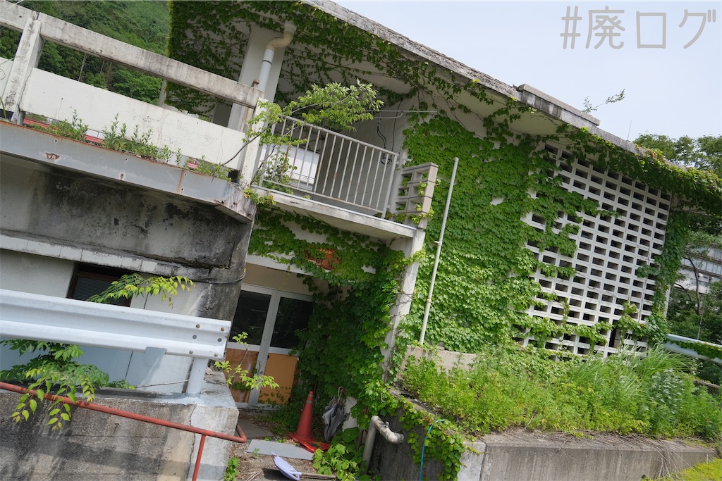 f:id:hiyapa:20230717210705j:image f:id:hiyapa:20230717210705j:image