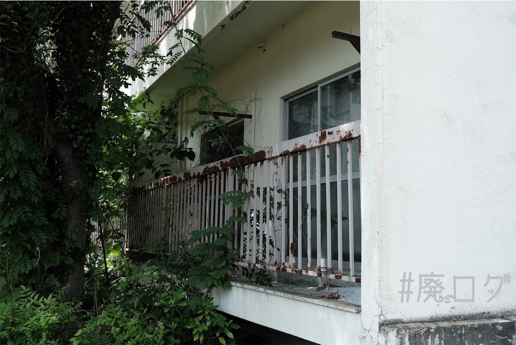 f:id:hiyapa:20230717210708j:image f:id:hiyapa:20230717210708j:image