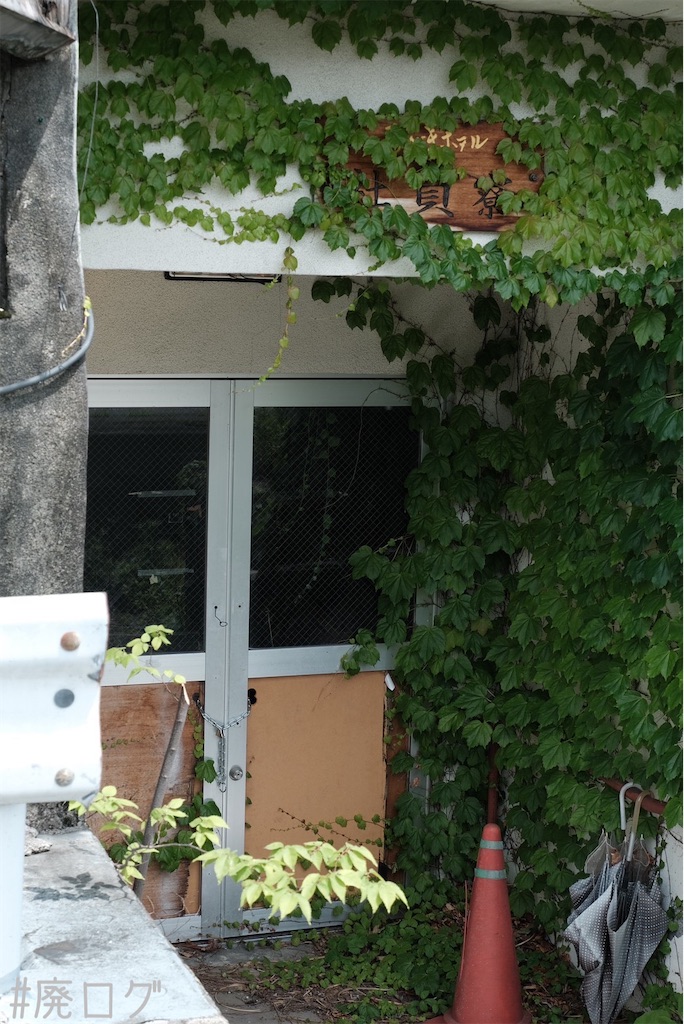 f:id:hiyapa:20230717210715j:image f:id:hiyapa:20230717210715j:image