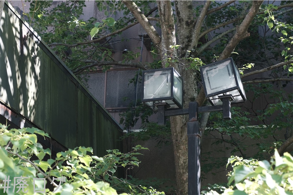 f:id:hiyapa:20230721080455j:image f:id:hiyapa:20230721080455j:image