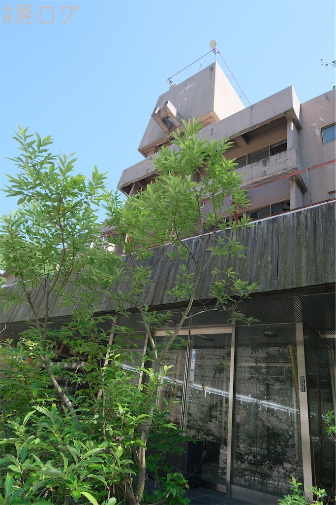 f:id:hiyapa:20230721080521j:image f:id:hiyapa:20230721080521j:image