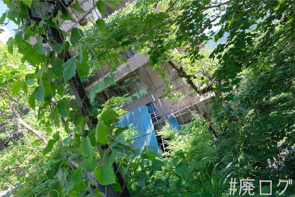 f:id:hiyapa:20230721080531j:image f:id:hiyapa:20230721080531j:image