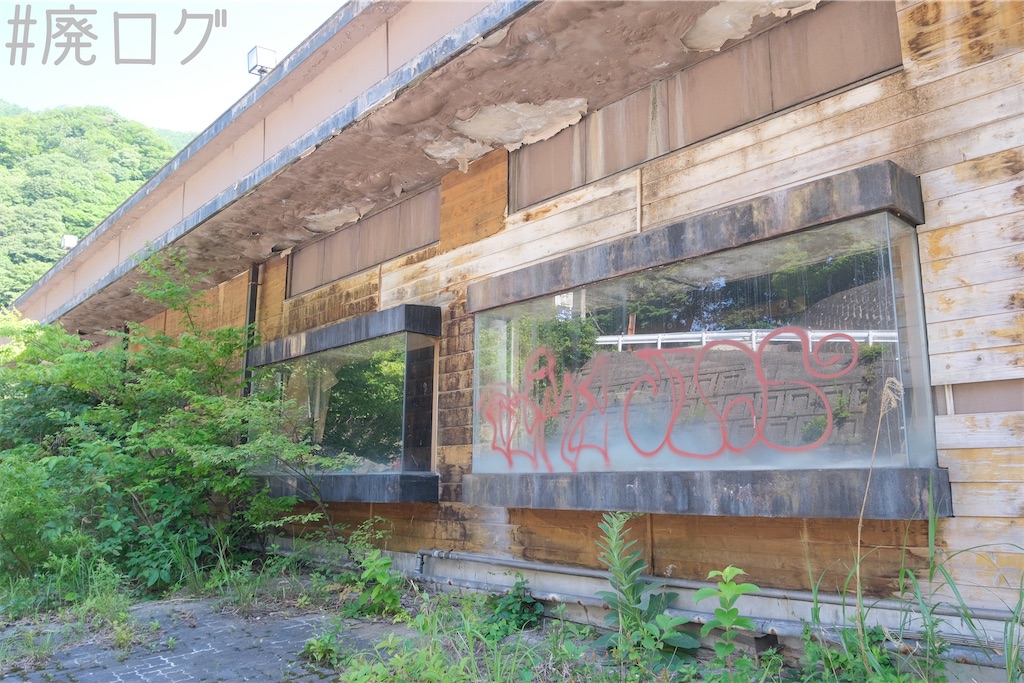 f:id:hiyapa:20230721080710j:image f:id:hiyapa:20230721080710j:image