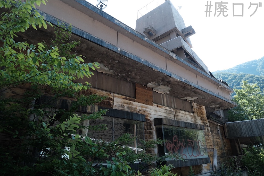 f:id:hiyapa:20230721080805j:image f:id:hiyapa:20230721080805j:image