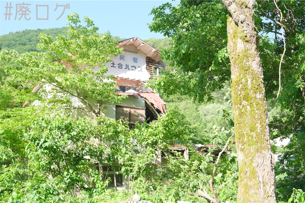 f:id:hiyapa:20230726080420j:image
