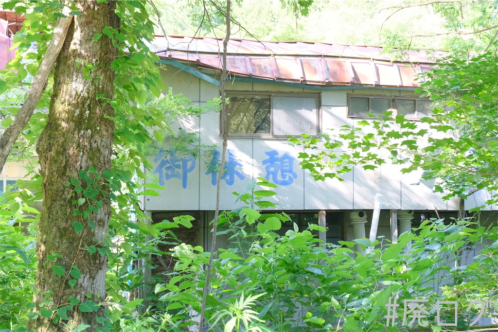 f:id:hiyapa:20230726080433j:image