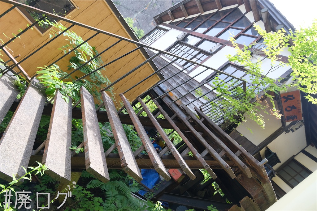 f:id:hiyapa:20230802080520j:image