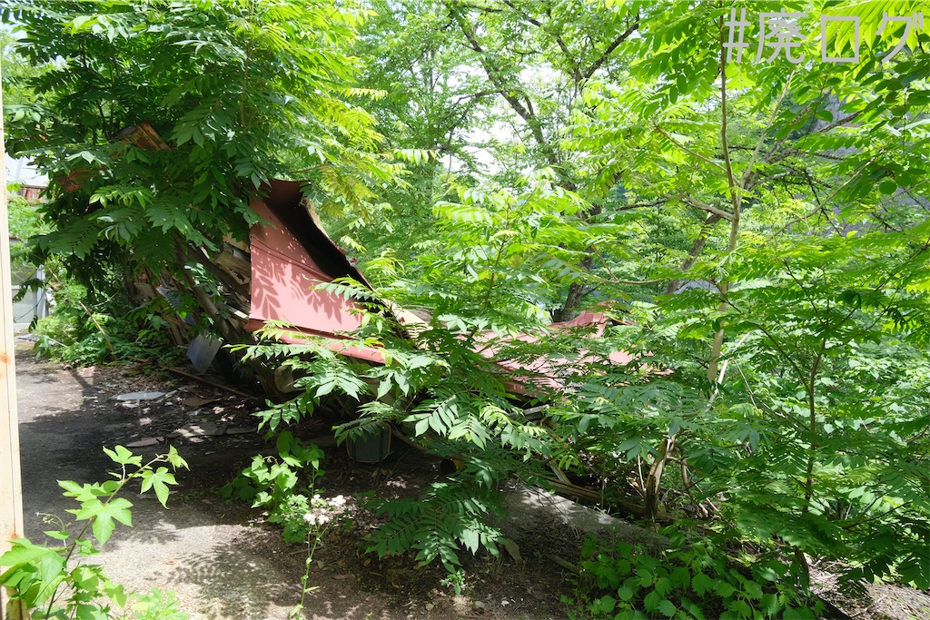 f:id:hiyapa:20230803080358j:image