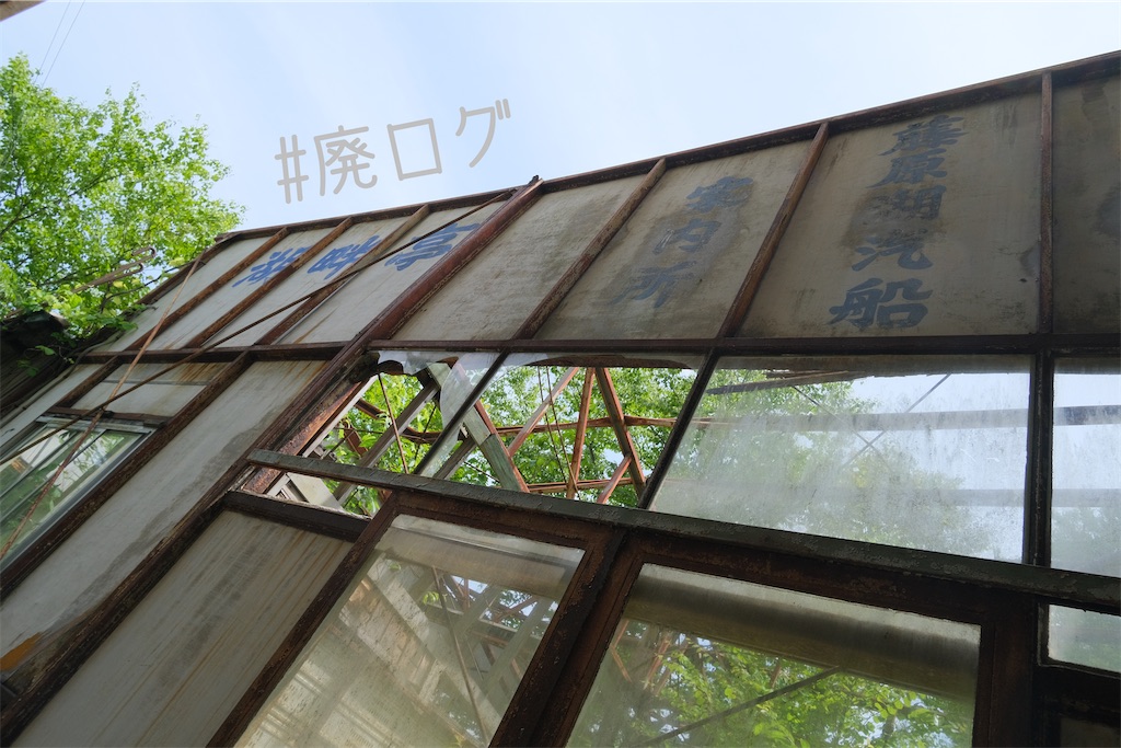 f:id:hiyapa:20230803080938j:image