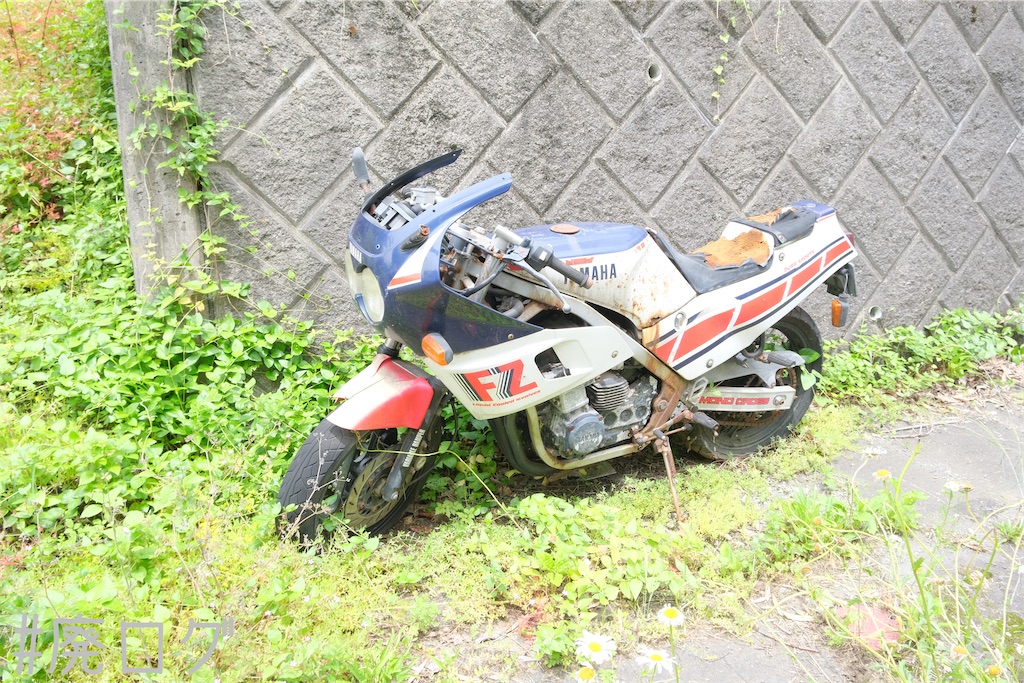 f:id:hiyapa:20230804080118j:image