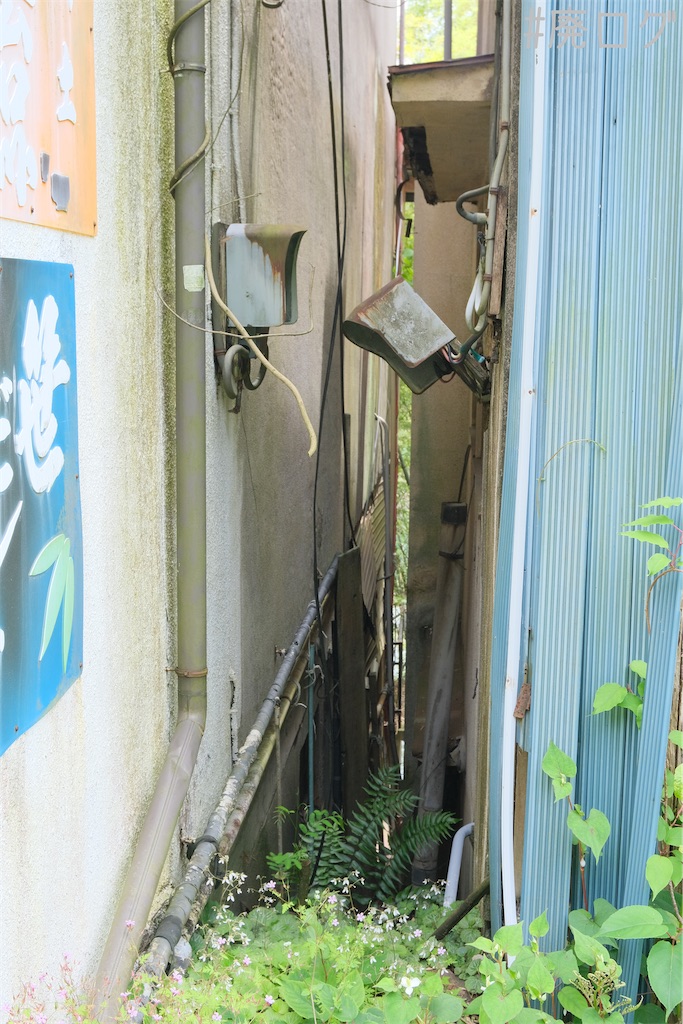 f:id:hiyapa:20230804080133j:image
