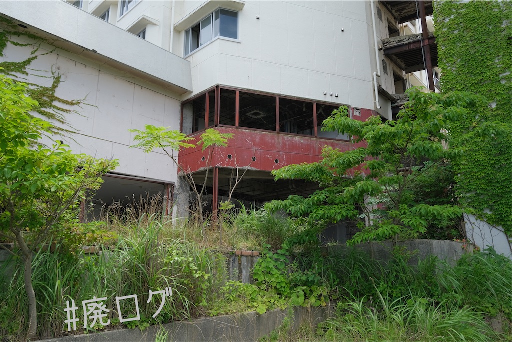 f:id:hiyapa:20230817185101j:image