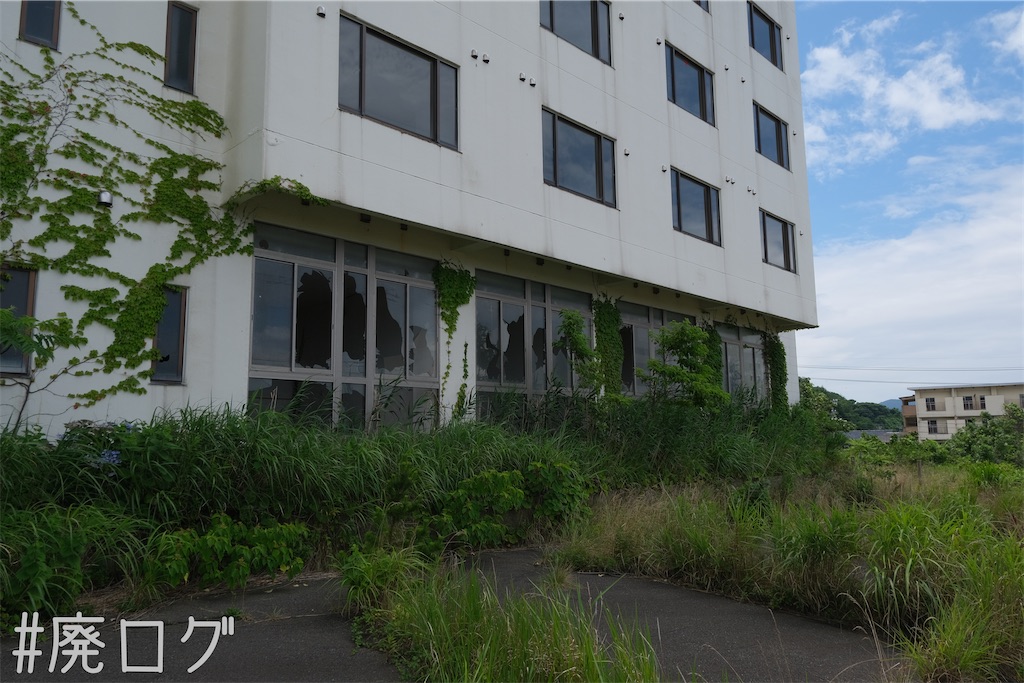 f:id:hiyapa:20230817185330j:image