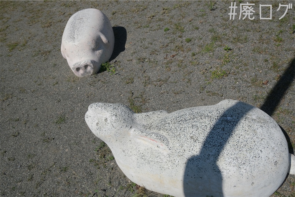 f:id:hiyapa:20230820111006j:image