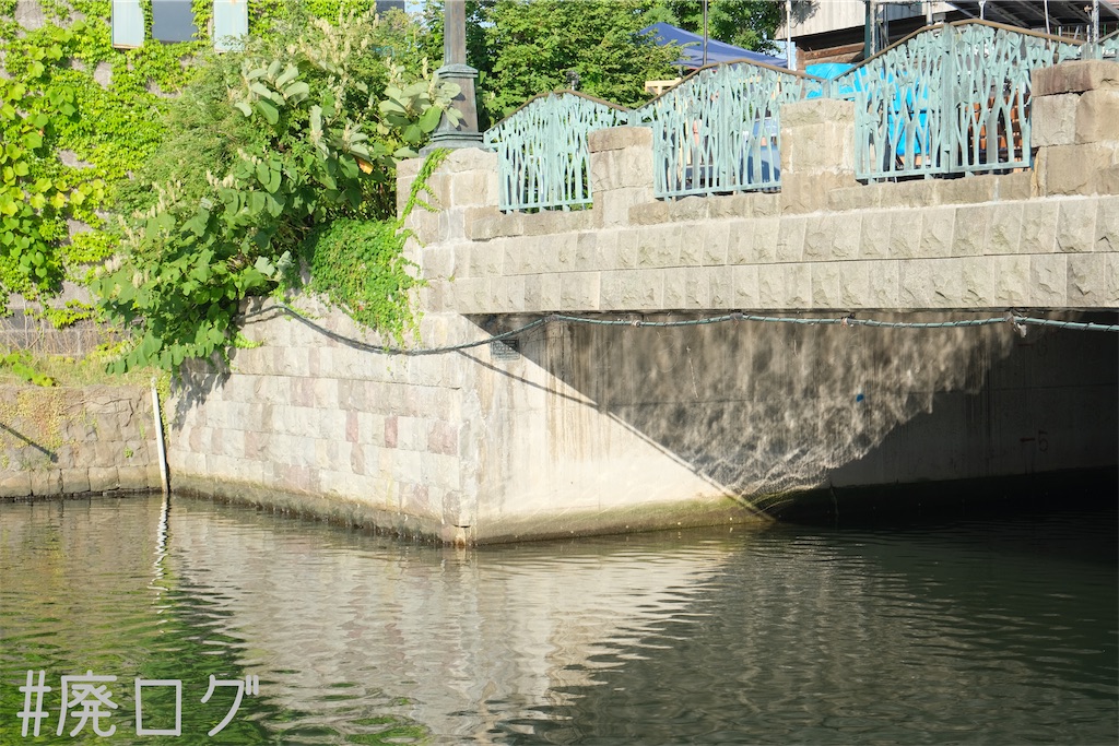 f:id:hiyapa:20230821081710j:image