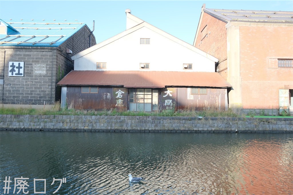 f:id:hiyapa:20230821081716j:image