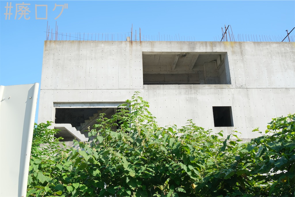 f:id:hiyapa:20230821175905j:image