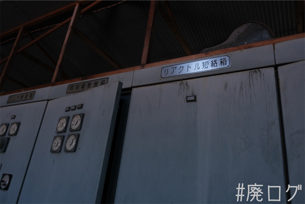 f:id:hiyapa:20230823095542j:image f:id:hiyapa:20230823095542j:image