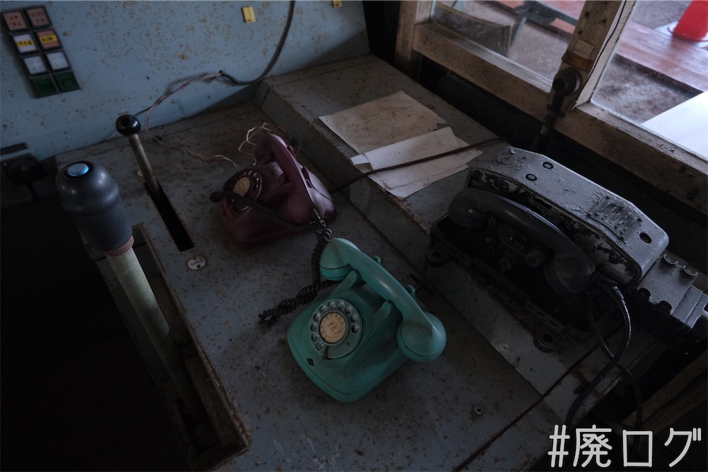 f:id:hiyapa:20230823120148j:image f:id:hiyapa:20230823120148j:image