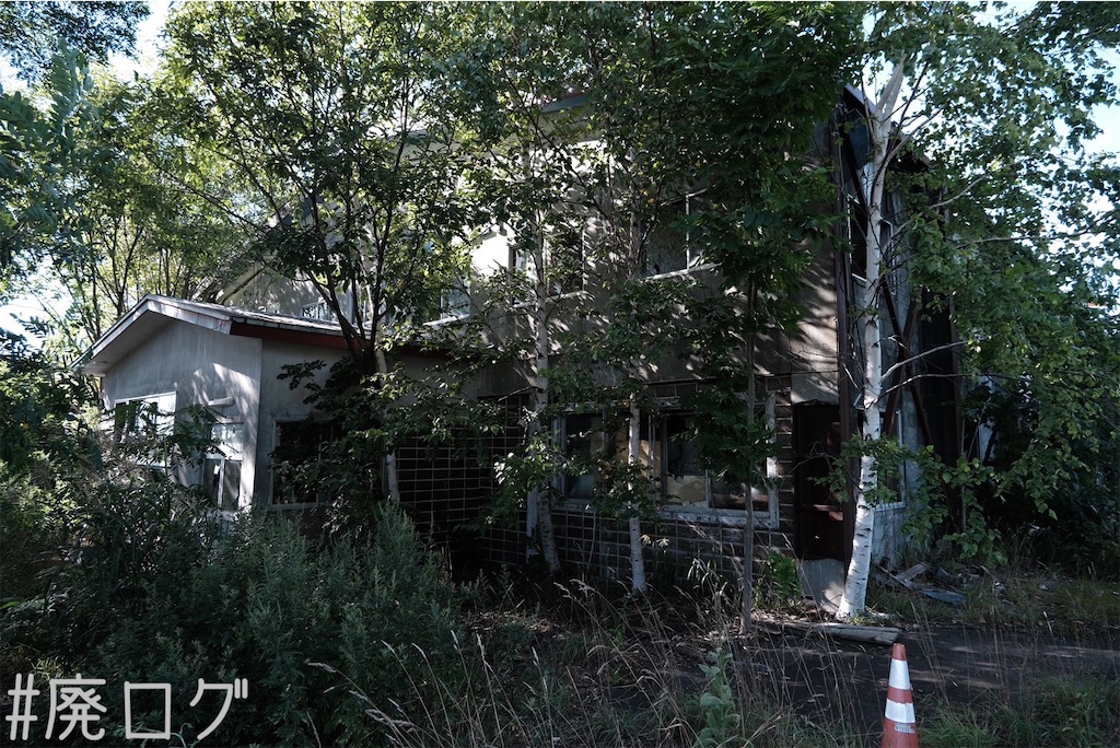 f:id:hiyapa:20230823160635j:image f:id:hiyapa:20230823160635j:image