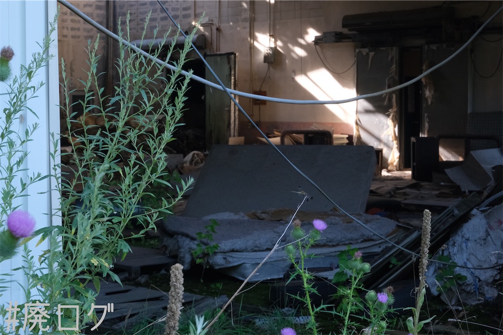 f:id:hiyapa:20230823160701j:image f:id:hiyapa:20230823160701j:image