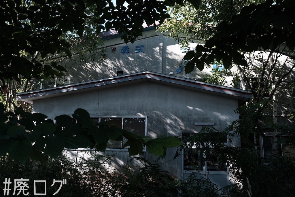 f:id:hiyapa:20230823160706j:image f:id:hiyapa:20230823160706j:image