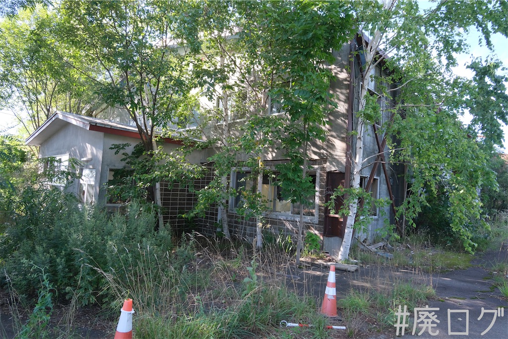 f:id:hiyapa:20230823160728j:image f:id:hiyapa:20230823160728j:image