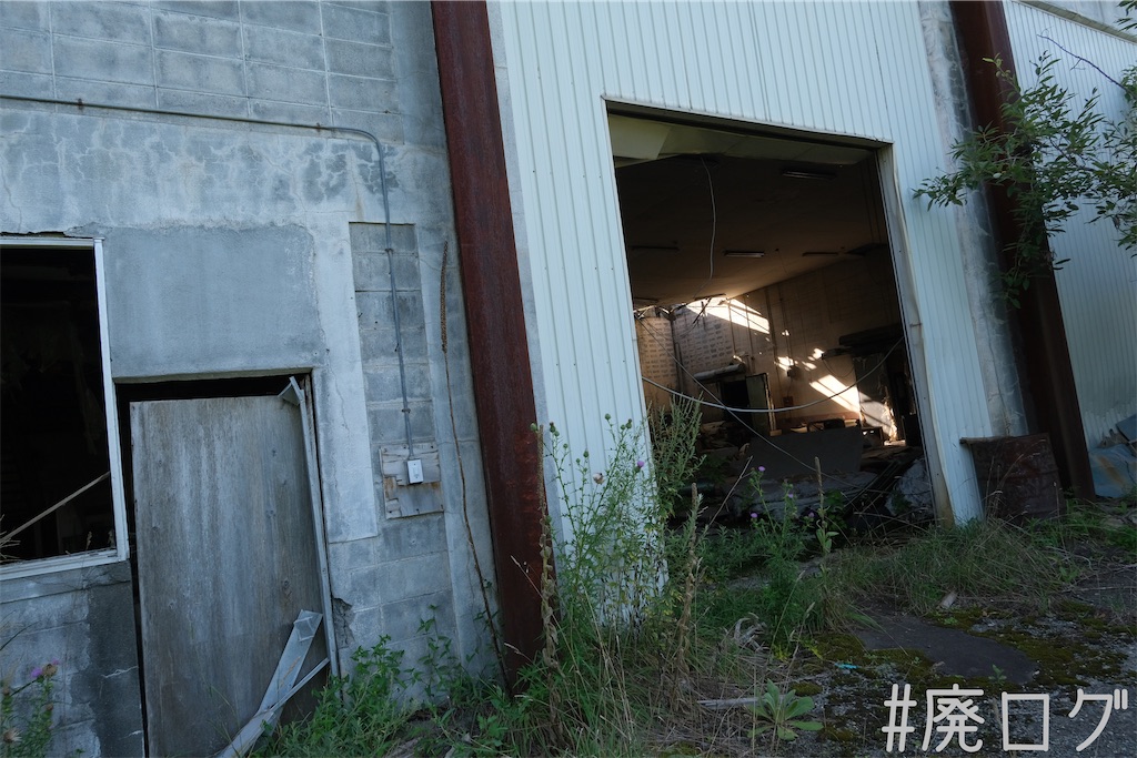 f:id:hiyapa:20230823160732j:image f:id:hiyapa:20230823160732j:image