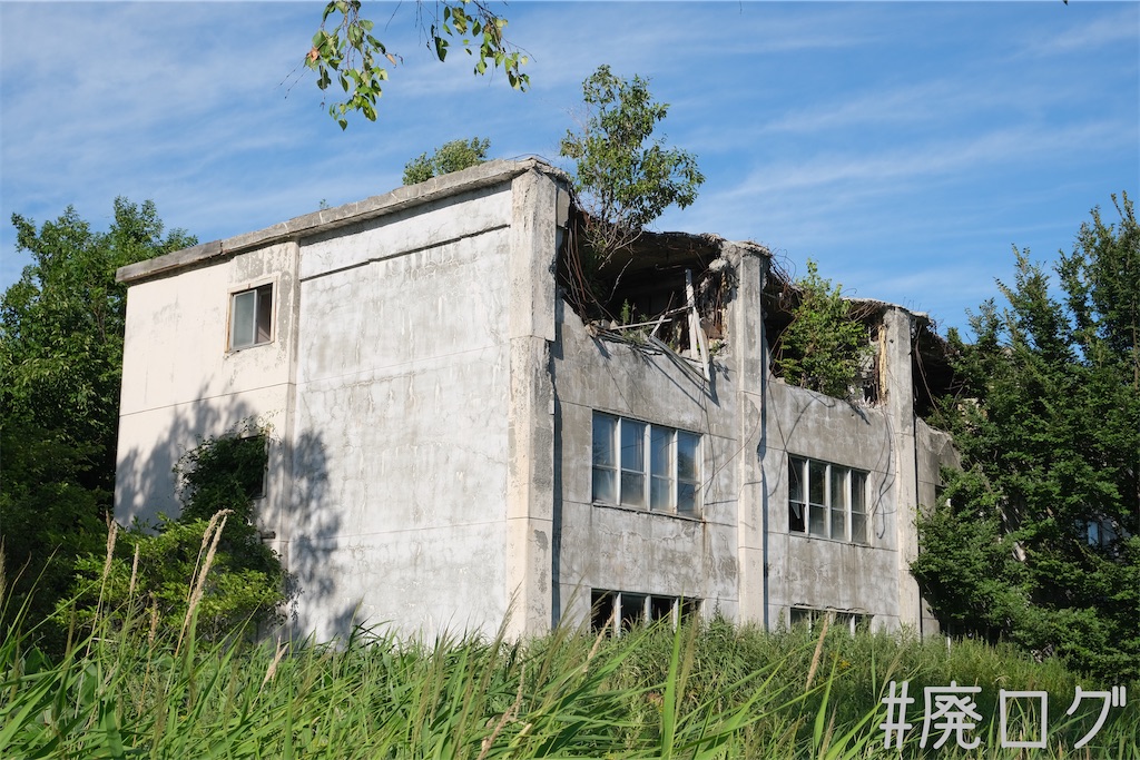 f:id:hiyapa:20230823170504j:image f:id:hiyapa:20230823170504j:image