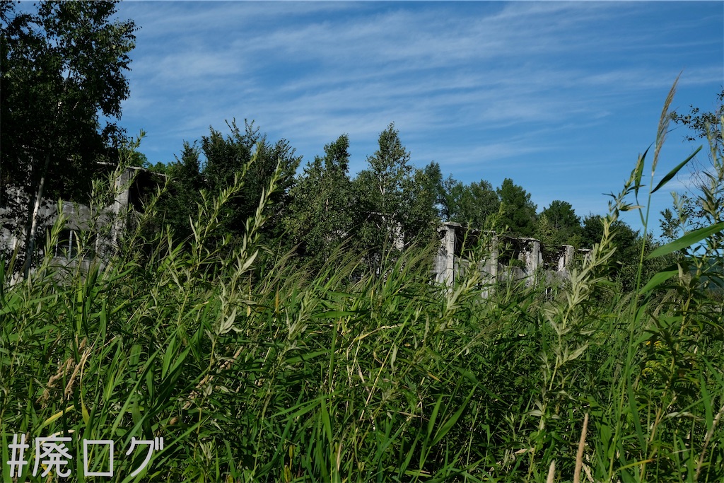 f:id:hiyapa:20230823170523j:image f:id:hiyapa:20230823170523j:image