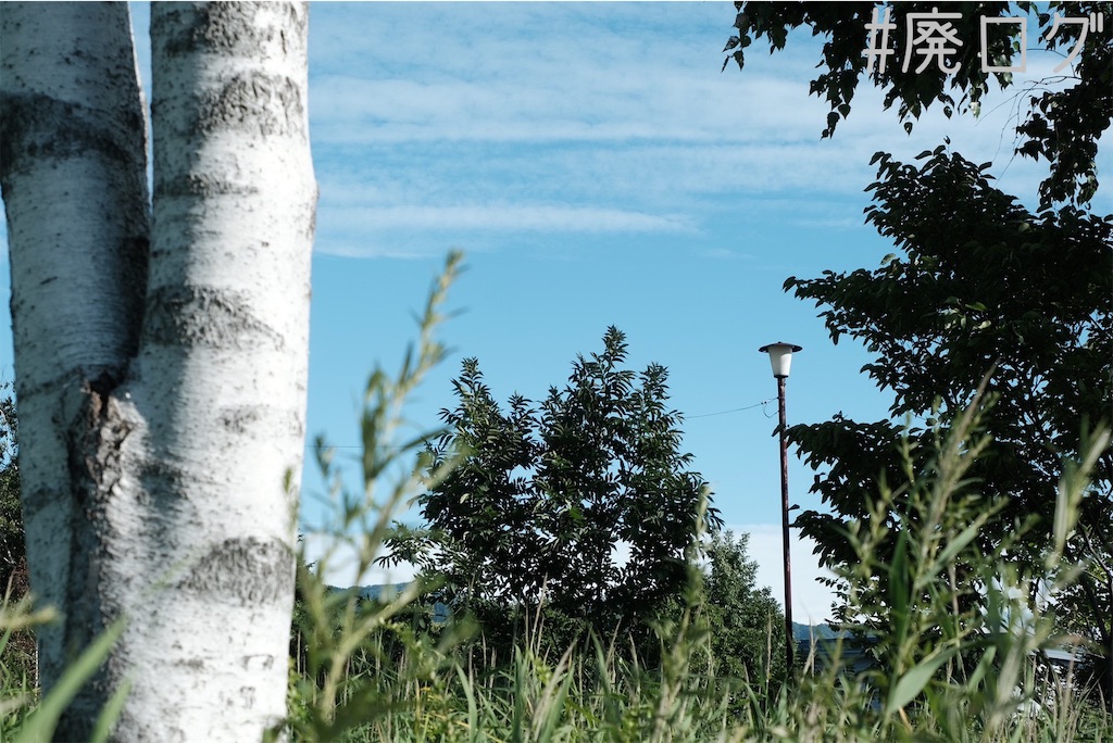 f:id:hiyapa:20230823170627j:image f:id:hiyapa:20230823170627j:image