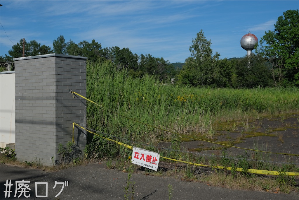 f:id:hiyapa:20230823170642j:image f:id:hiyapa:20230823170642j:image