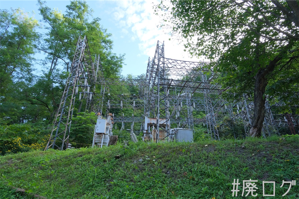 f:id:hiyapa:20230824200744j:image f:id:hiyapa:20230824200744j:image