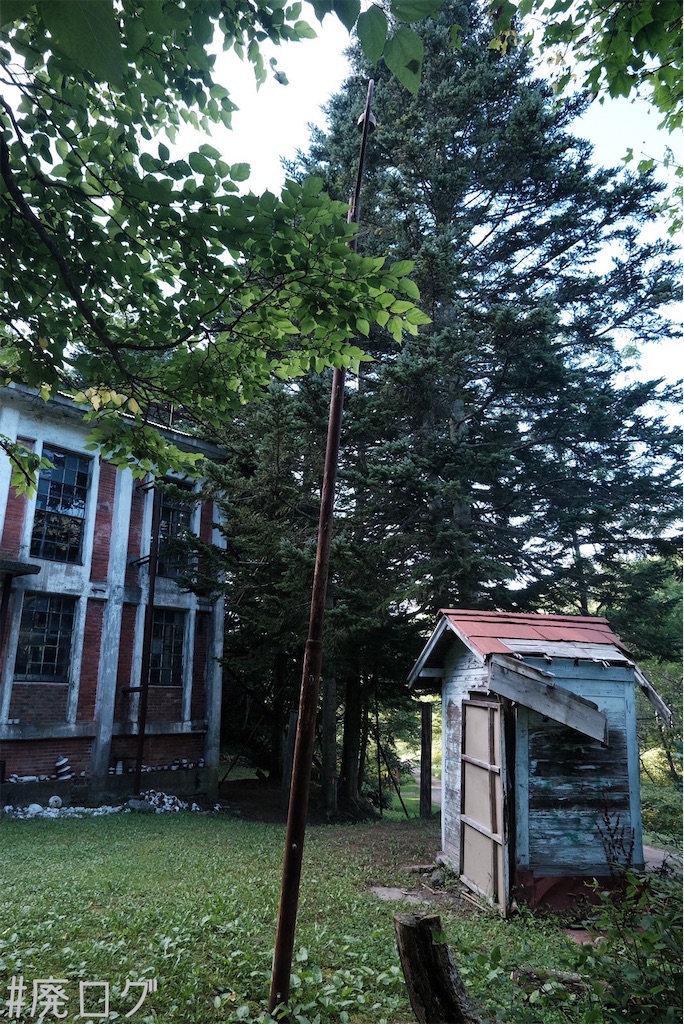 f:id:hiyapa:20230824200816j:image f:id:hiyapa:20230824200816j:image