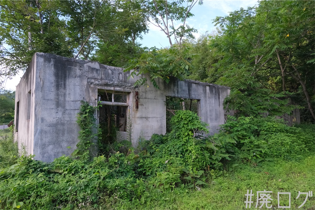 f:id:hiyapa:20230825161359j:image