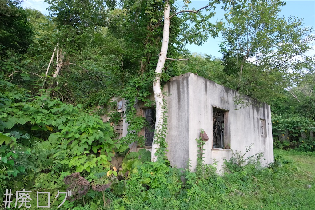 f:id:hiyapa:20230825161416j:image