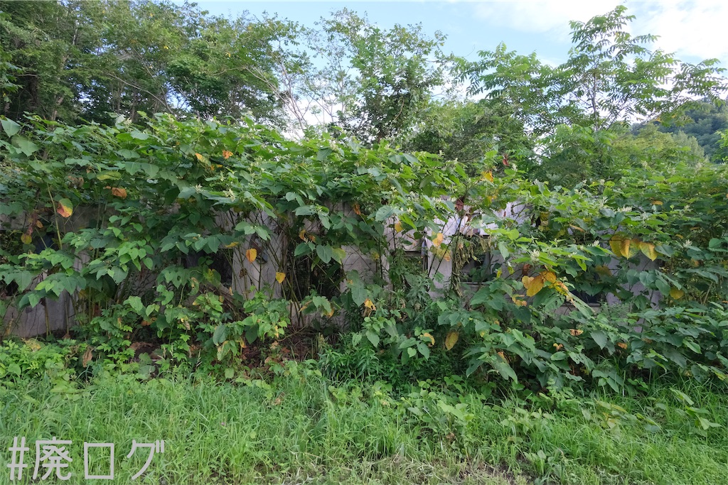 f:id:hiyapa:20230825161420j:image