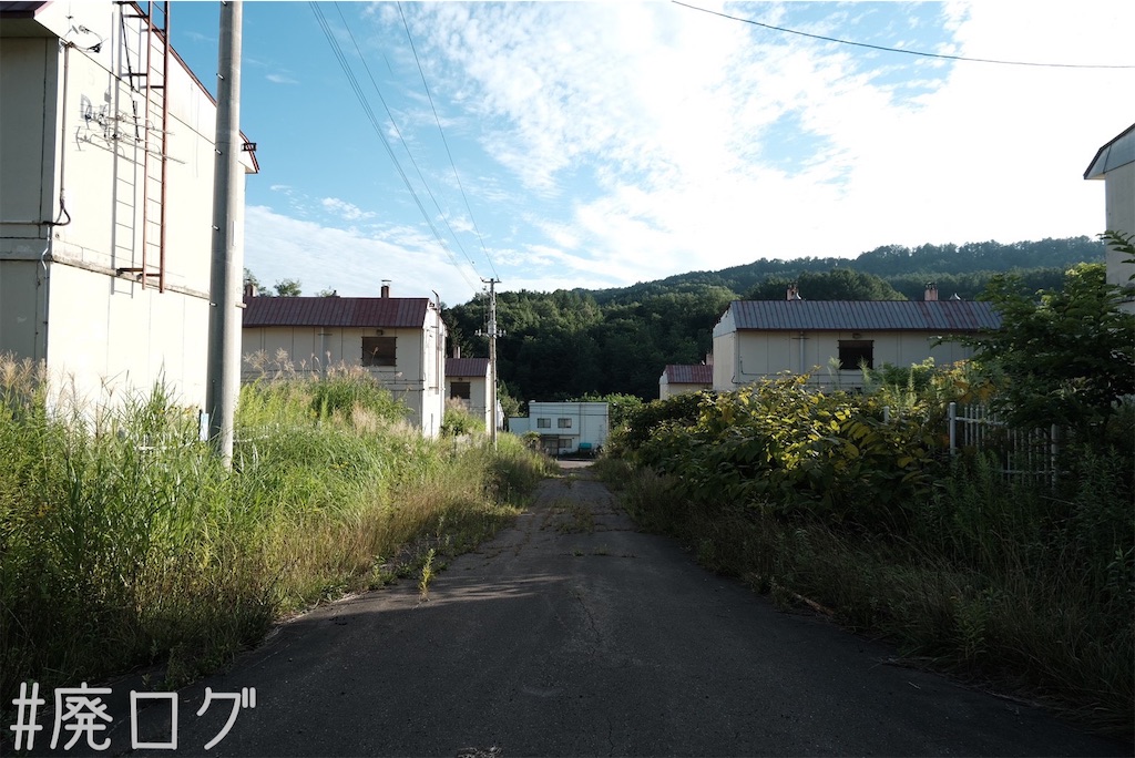 f:id:hiyapa:20230825170116j:image