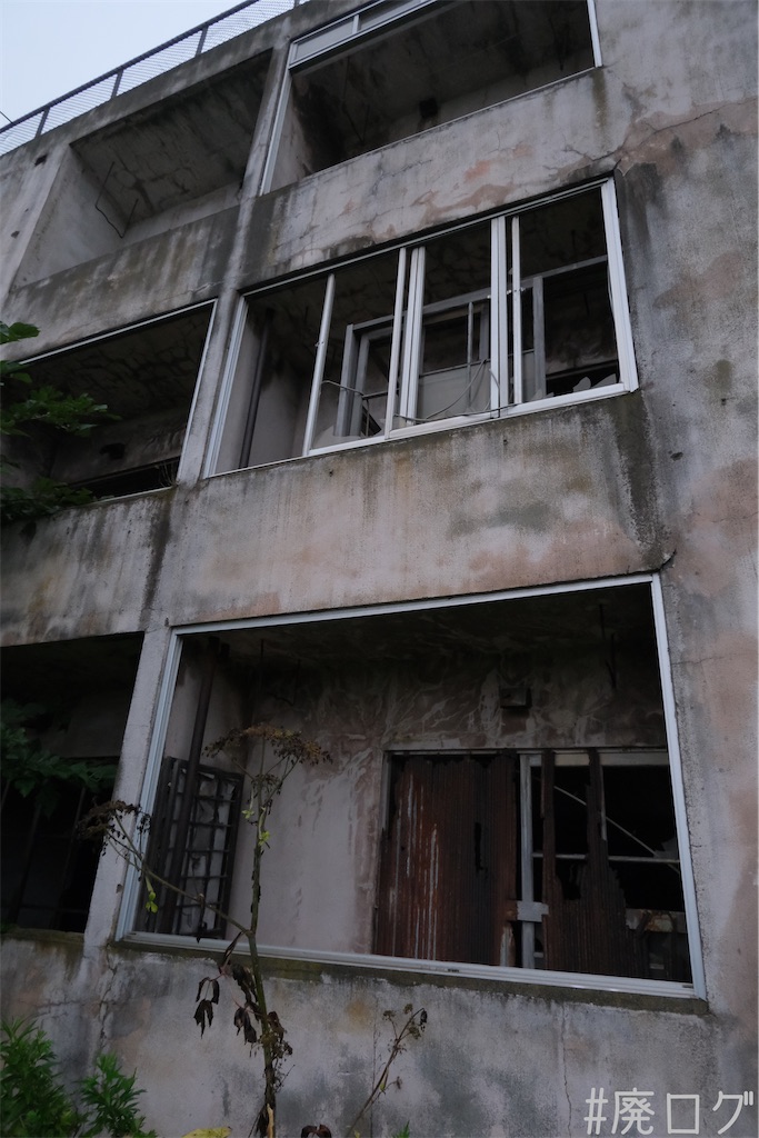 f:id:hiyapa:20230829110006j:image