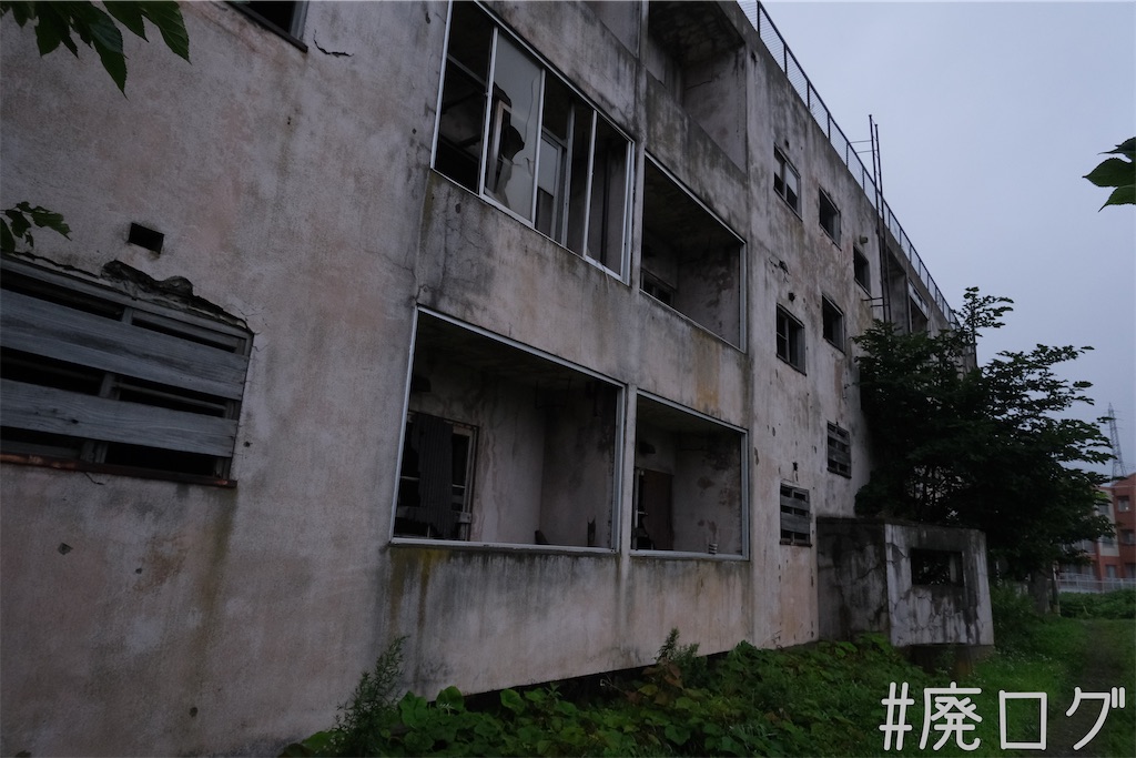 f:id:hiyapa:20230829120530j:image