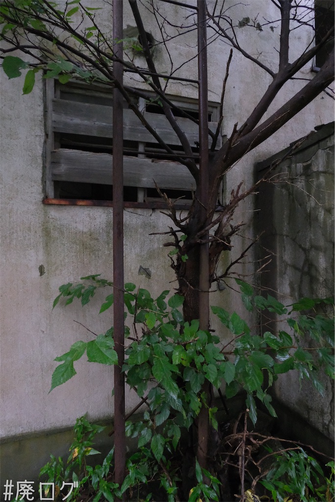 f:id:hiyapa:20230829120538j:image